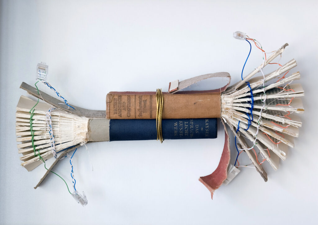 Book Sculpture by Stevie and Susannah Ronnie. Two deconstructed book spines are bound together with brass wire. Each is fanned out at the edges and stitched through with thin, coloured wire.